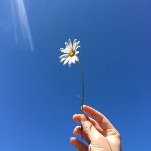 Meet your Posher, Bella